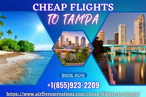 cheap flights from dc area to tampa